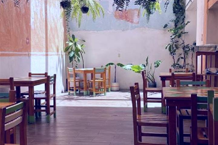 Quinn, 22 — Escort in San Pedro Taviche, Mexico