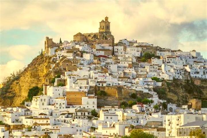 Quinn, 23 — Escort in Blancos, Spain