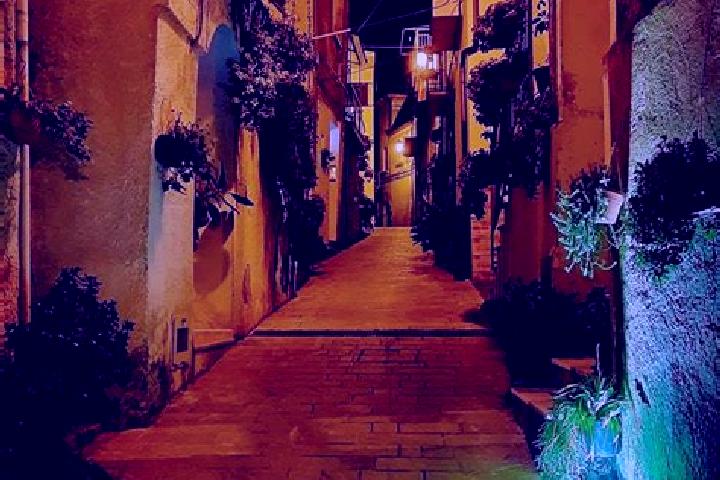 Quinn, 23 — Escort in Centola, Italy