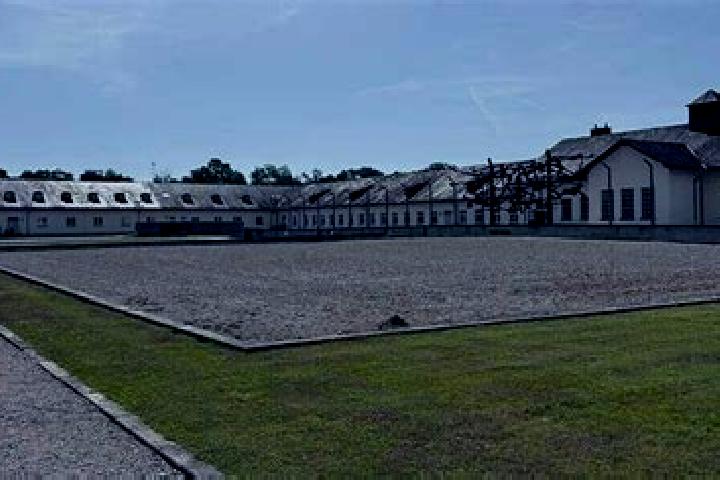 Quinn, 23 — Escort in Dachau, Germany