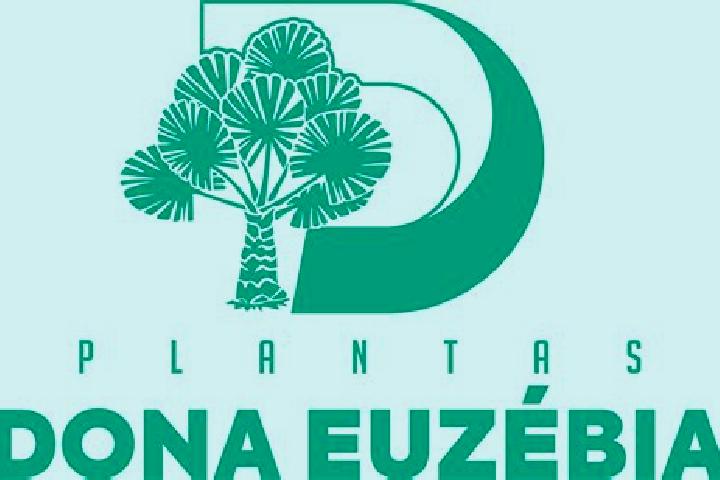 Quinn, 23 — Escort in Dona Euzebia, Brazil