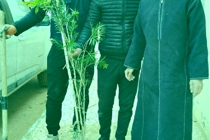 Quinn, 23 — Escort in Gueltat Zemmour, Morocco
