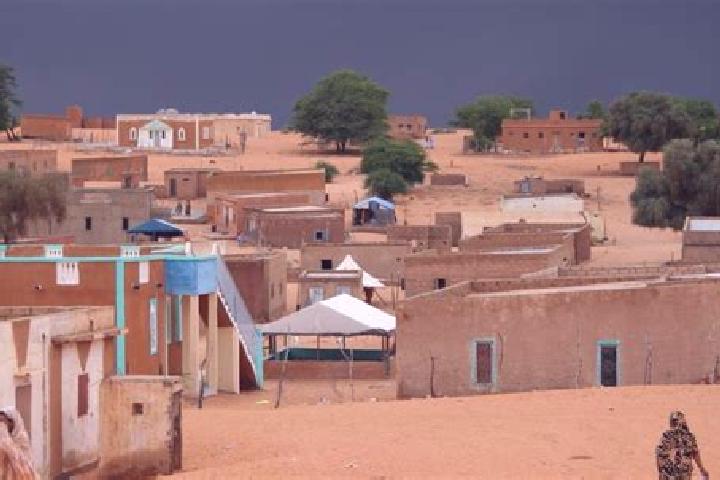 Quinn, 23 — Escort in Moudjeria, Mauritania