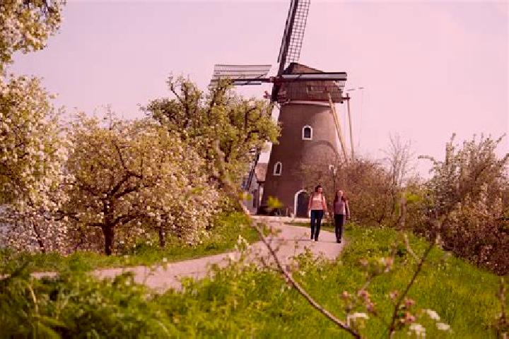 Quinn, 23 — Escort in Nederwoud, Netherlands