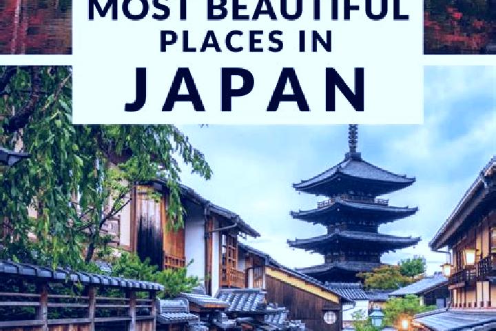 Quinn, 23 — Escort in Shojihigashi, Japan