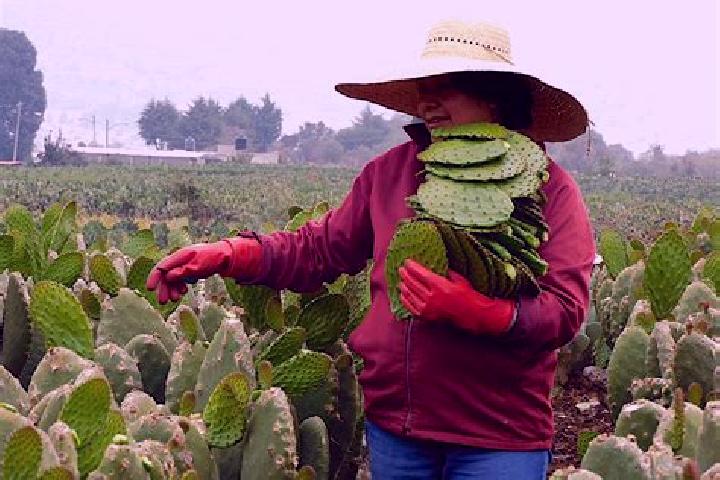 Quinn, 23 — Escort in Tercera Seccion la Nopalera, Mexico