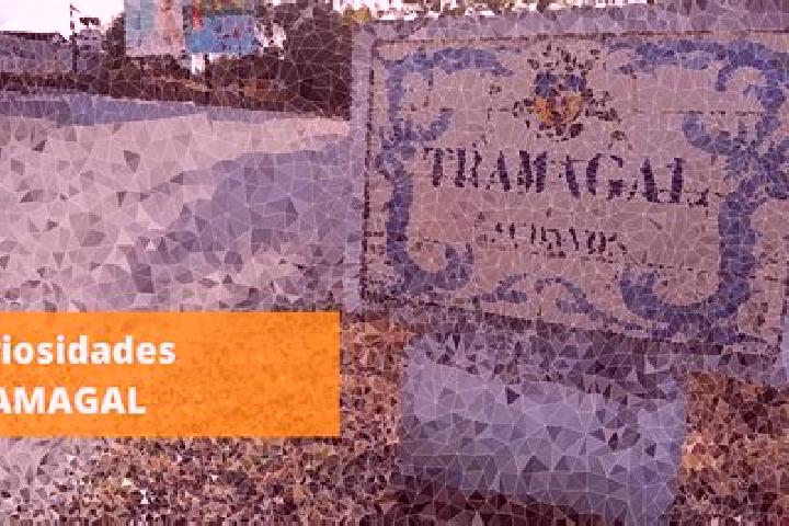 Quinn, 23 — Escort in Tramagal, Portugal