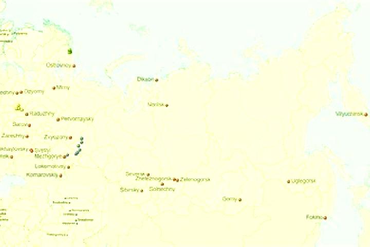 Quinn, 23 — Escort in Vorobyovka, Russia