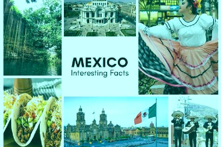 Quinn, 24 — Escort in Alcaraces, Mexico