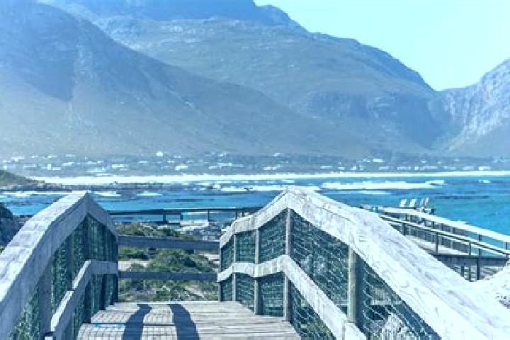 Quinn, 24 — Escort in Betty s Bay, South Africa
