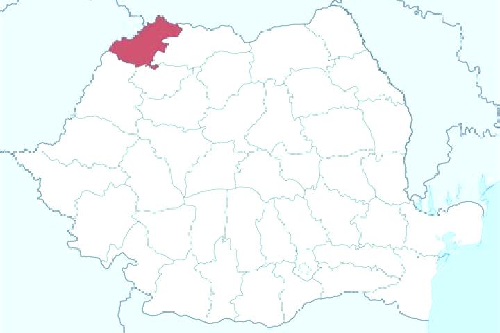 Quinn, 24 — Escort in Cergau Mare, Romania