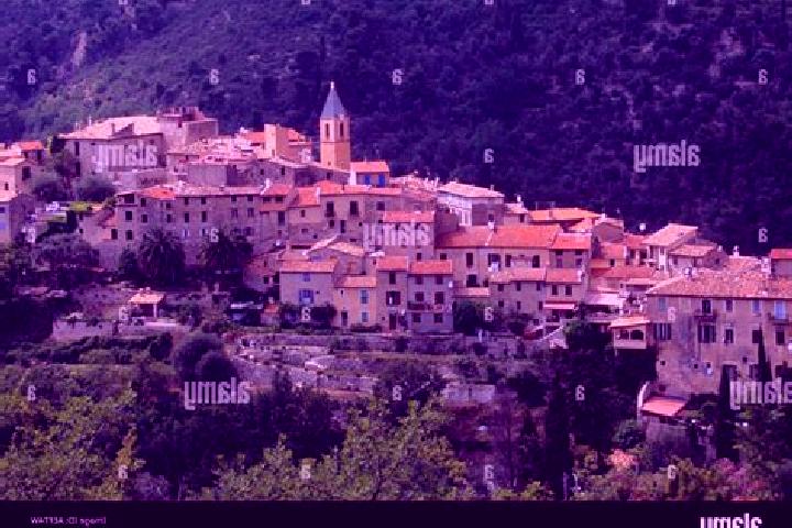 Quinn, 24 — Escort in Gorbio, France