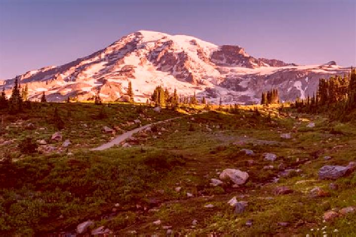 Quinn, 24 — Escort in Mount Victory, United States