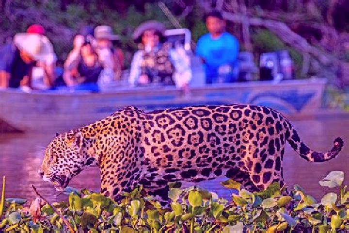 Quinn, 24 — Escort in Pantanal, Brazil