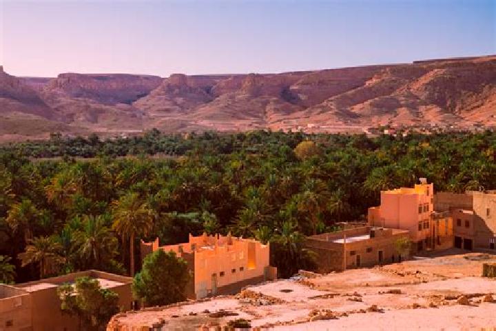Quinn, 24 — Escort in Safi, Morocco