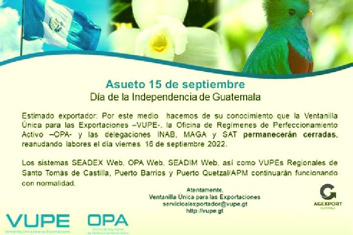 Quinn, 24 — Escort in San Rafael La Independencia, Guatemala