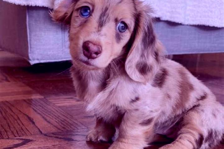 Quinn, 25, a chestnut blue-eyed mixed companion based in Hostivar. Offering Dinner Date, Overnight. Available for incall and outcall, overnight bookings avai...