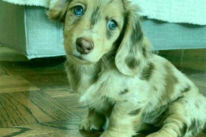 Quinn, 25, a chestnut blue-eyed mixed companion based in Nonoai. Offering 69, Travel Companion, Tantra, Overnight. Available for incall and outcall, overnigh...