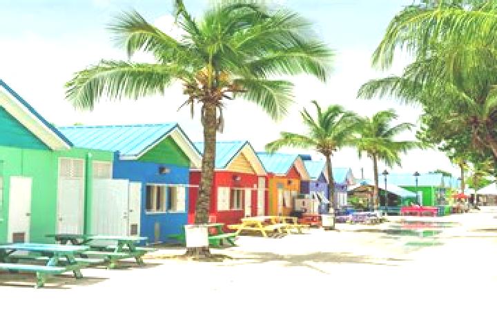 Quinn, 25 — Escort in Blackmans, Barbados