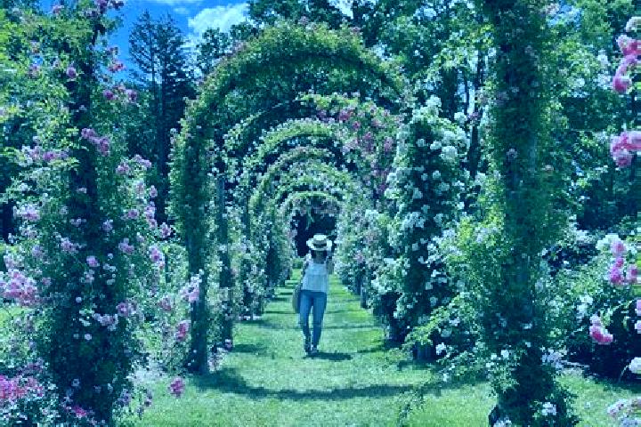 Quinn, 25 — Escort in Elizabeth Park, Australia