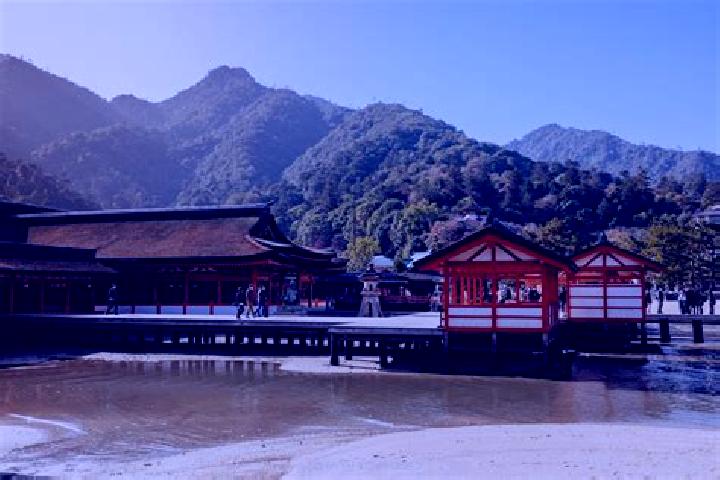 Quinn, 25 — Escort in Miyajima, Japan