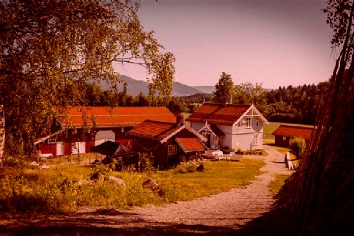 Quinn, 25 — Escort in Sauland, Norway
