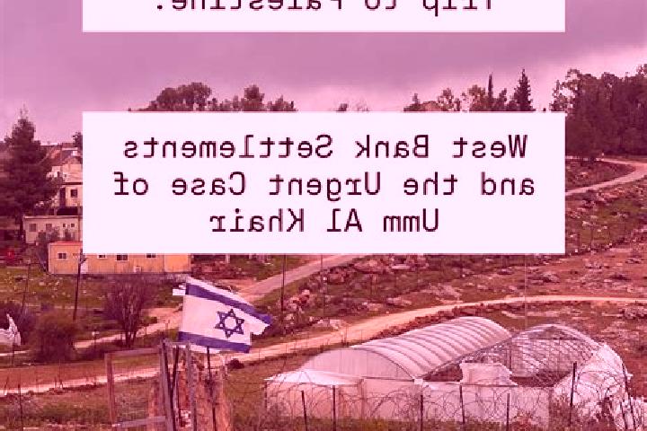 Quinn, 25 — Escort in Umm Salmunah, Palestine