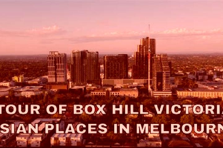 Quinn, 26 — Escort in Box Hill, Australia