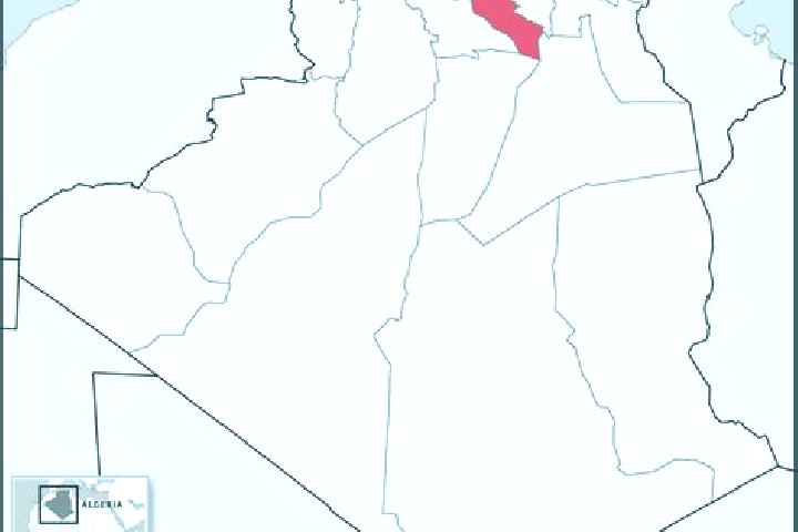 Quinn, 26 — Escort in El Bayadh, Algeria