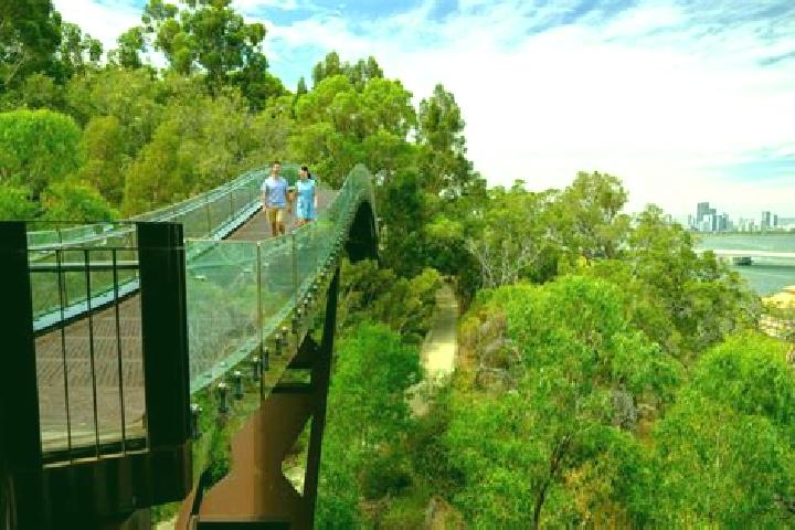 Quinn, 26 — Escort in Kings Park, Australia