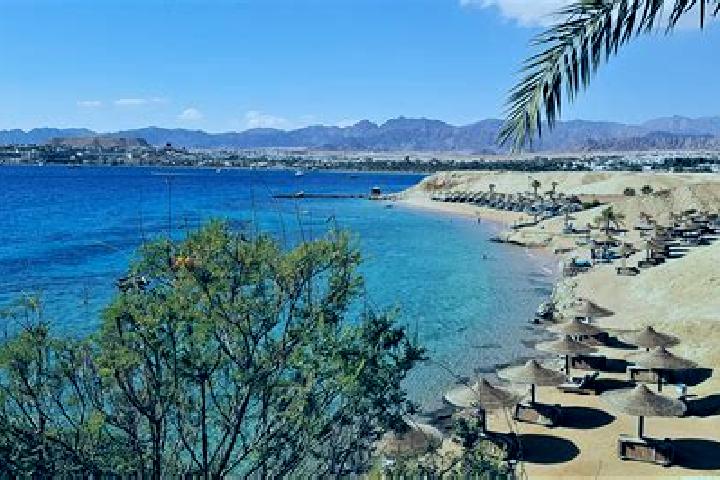 Quinn, 26 — Escort in Sharm el-Sheikh, Egypt