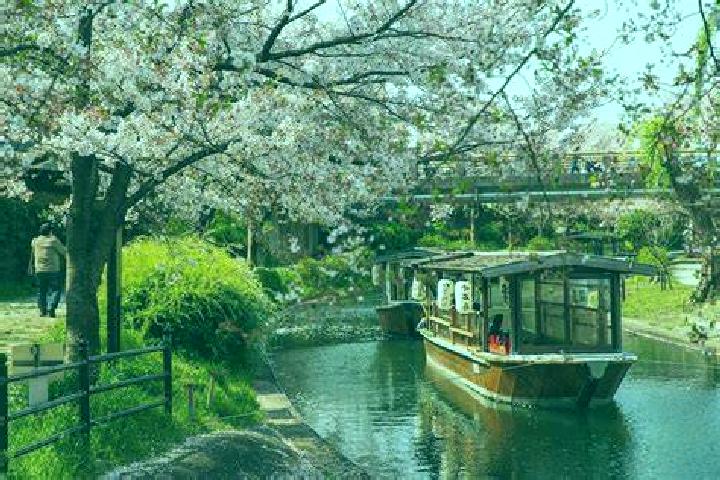 Quinn, 26 — Escort in Takaoka, Japan