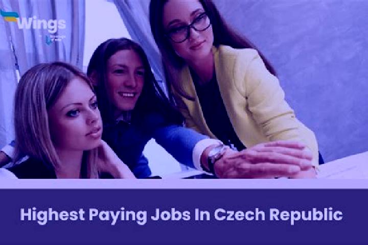 Quinn, 26 — Escort in Vcelna, Czech Republic