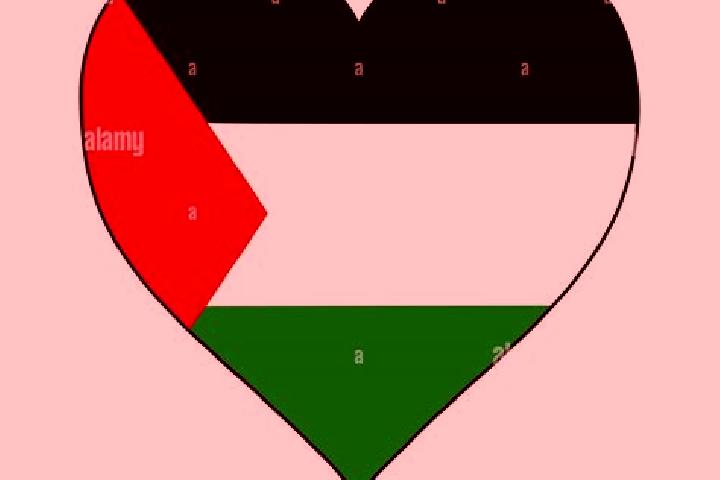 Quinn, 27 — Escort in Ar Ramadin, Palestine