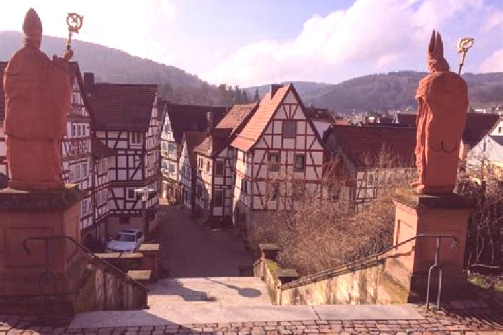 Quinn, 27 — Escort in Bad Orb, Germany