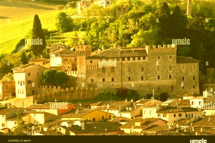 Quinn, 27 — Escort in Caldarola, Italy