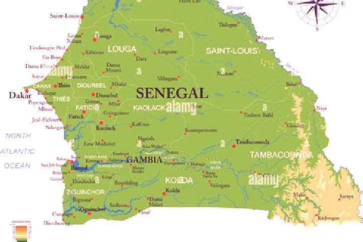 Quinn, 27 — Escort in Gae, Senegal