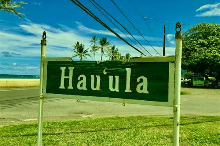 Quinn, 27 — Escort in Hau ula, United States