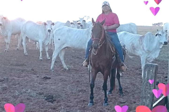 Quinn, 27 — Escort in Tacuru, Brazil