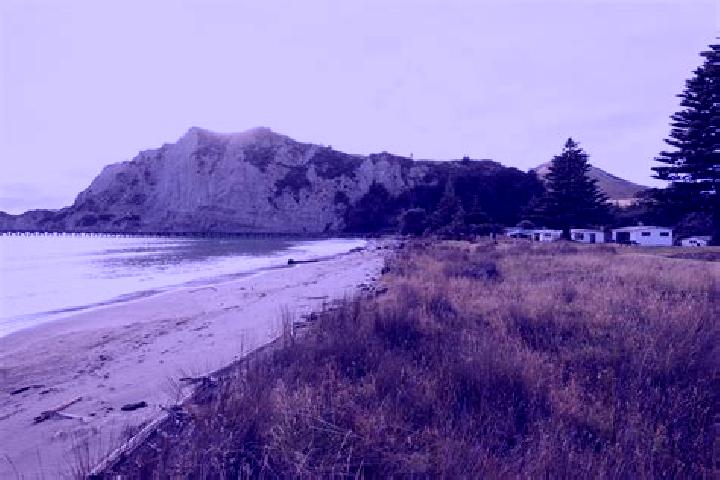 Quinn, 27 — Escort in Tolaga Bay, New Zealand