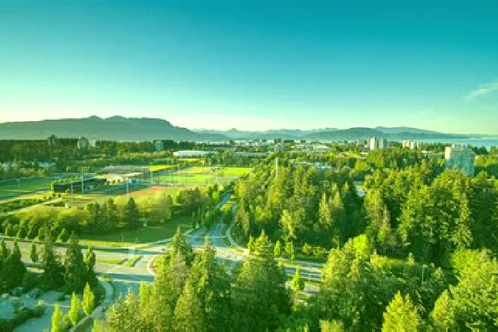 Quinn, 27 — Escort in University Endowment Lands, Canada