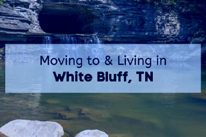 Quinn, 27 — Escort in White Bluff, United States