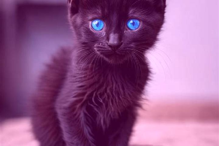 Quinn, 28, a black blue-eyed mediterranean companion based in Voskhod. Offering OWO, Erotic Massage, Roleplay, Prostate Massage. Available for incall and out...