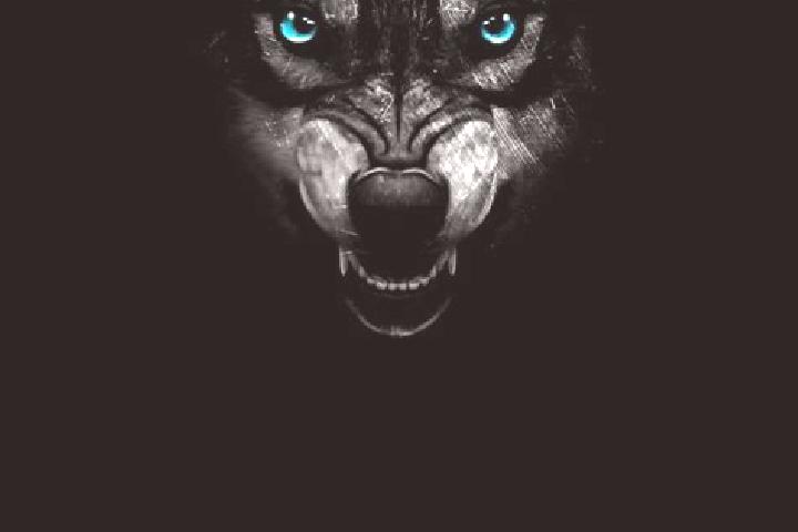 Quinn, 28, a black blue-eyed mixed companion based in Esquipulas Palo Gordo. Offering Domination, Tantra, BDSM, Travel Companion, Prostate Massage. Available...