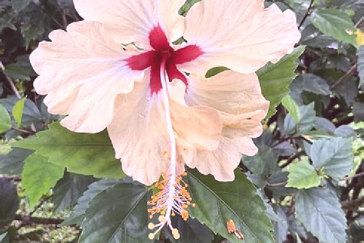 Quinn, 28 — Escort in Flores, Panama