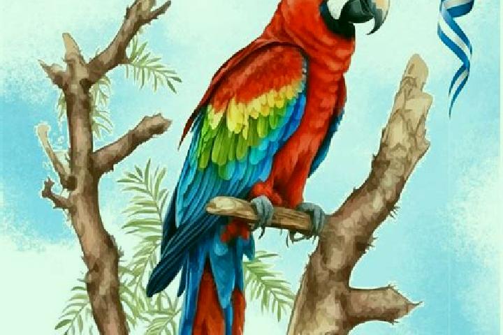 Quinn, 28 — Escort in Guacamaya, Honduras