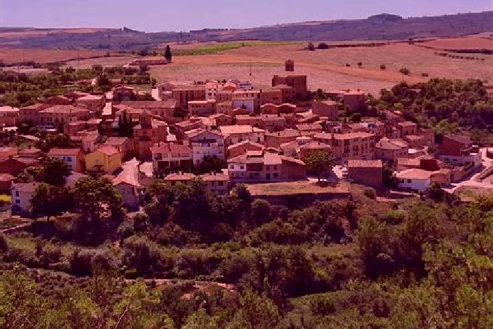Quinn, 28 — Escort in Martin del Rio, Spain