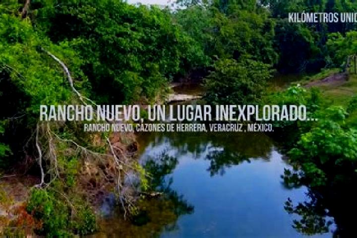 Quinn, 28 — Escort in Rancho Nuevo de Morelos (De Guadalupe), Mexico