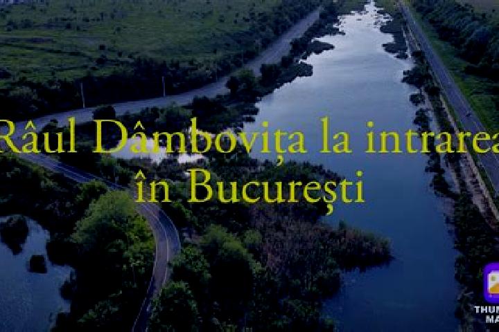 Quinn, 28 — Escort in Rau Alb de Sus, Romania