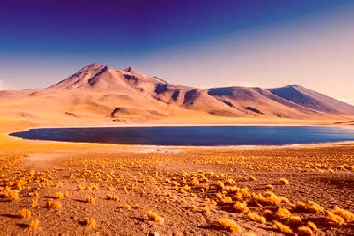 Quinn, 28 — Escort in San Pedro de Atacama, Chile